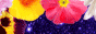 iCg[K[YRNV,www.night-gc.com